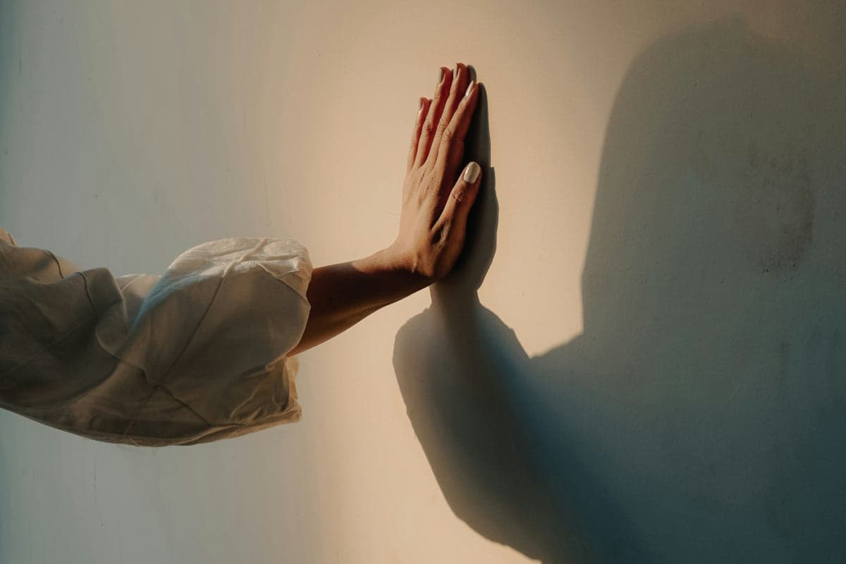 The Enteric Nervous System: The Gut's Hidden Brain