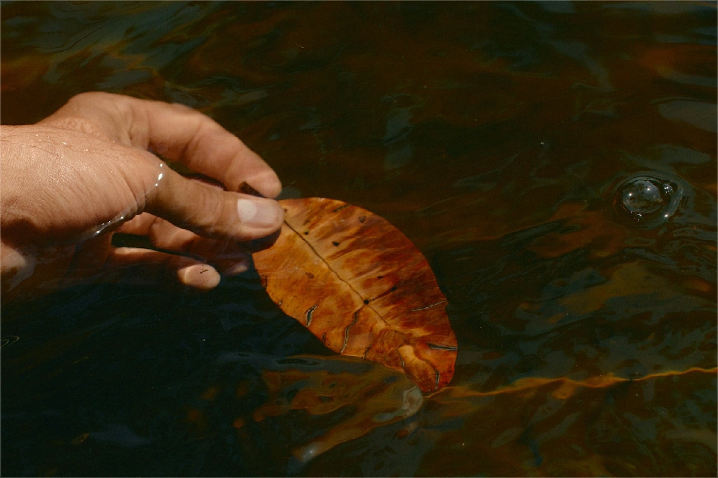 The October Mood: Melancholy, Creativity, And Connection