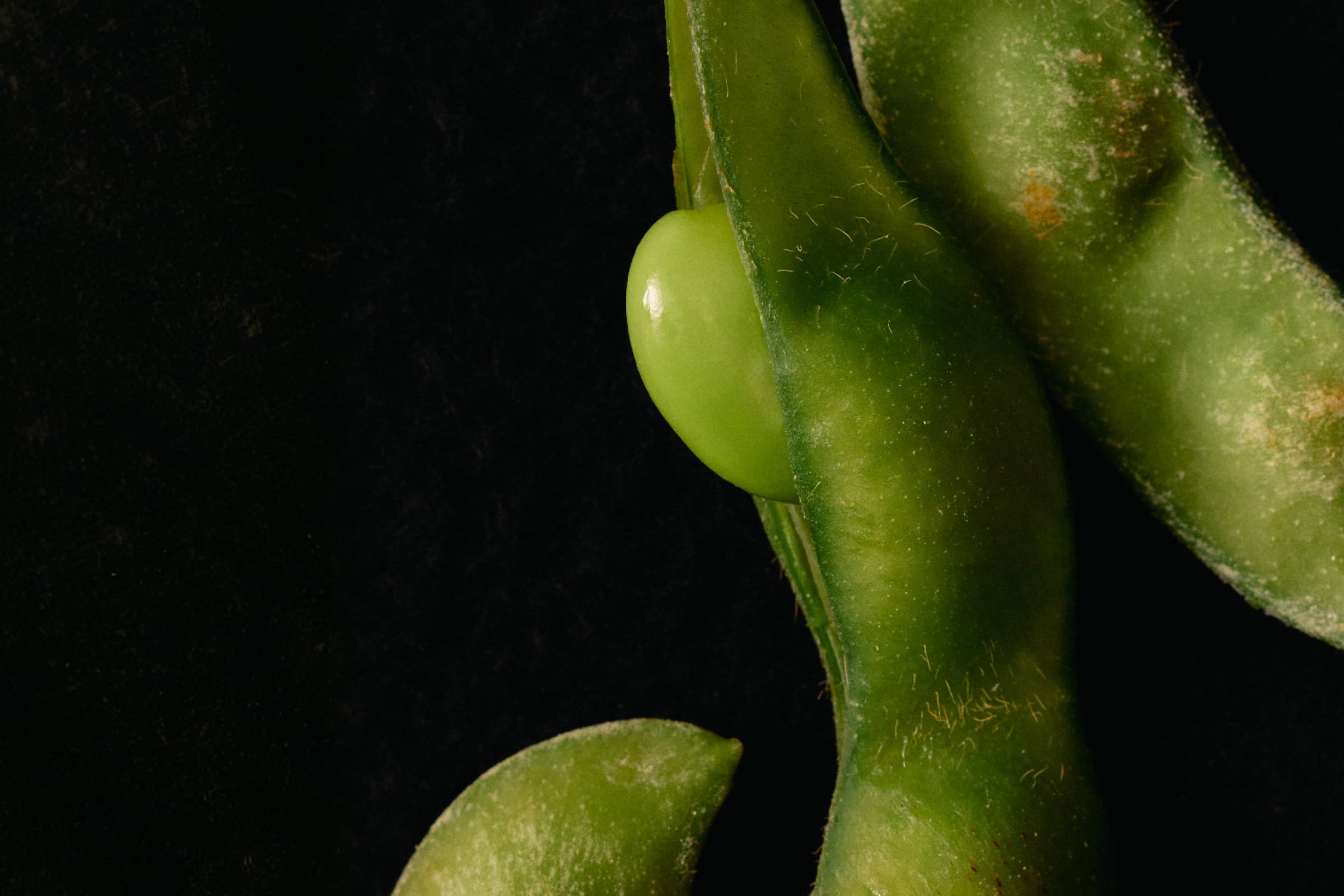 Fertility