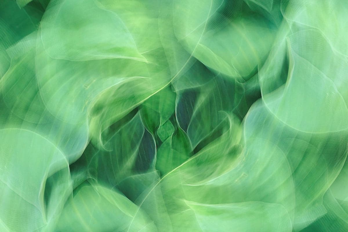 Are These The Worst Foods For Your Gut Health - How To Fix Your Digestion