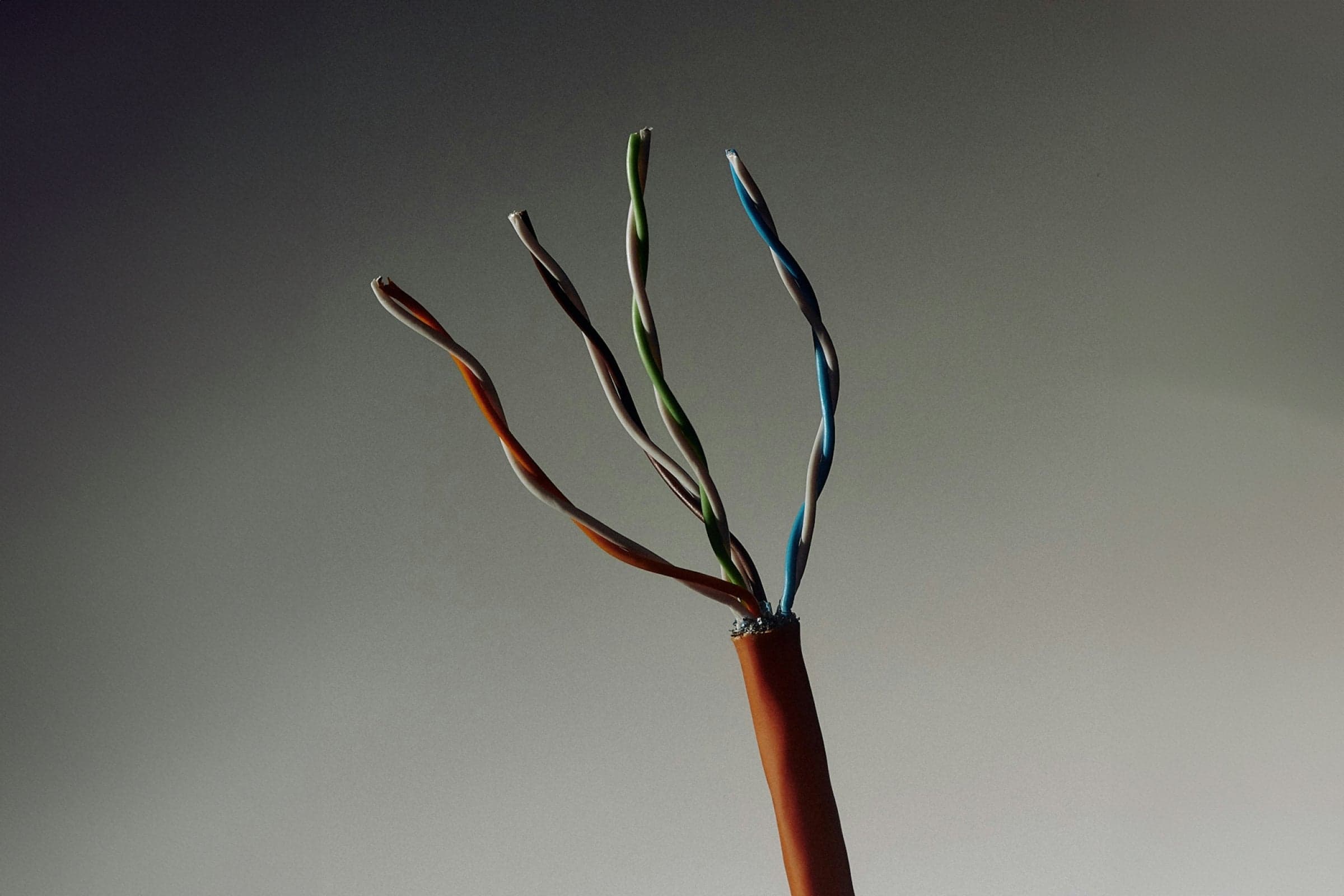 How To Stimulate Your Vagus Nerve Through The Four Pillars: EAT, MOVE, MIND, SLEEP