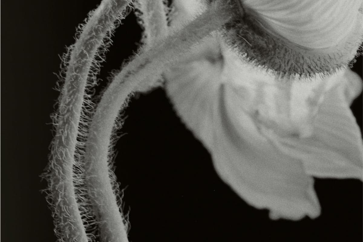 The Sustainable Diet Tweaks For Improved Metabolic Health